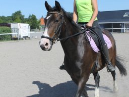 img_3215_web